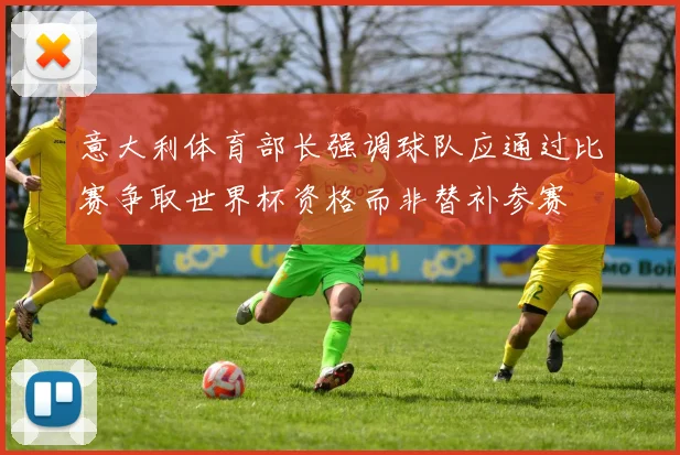 意大利体育部长强调球队应通过比赛争取世界杯资格而非替补参赛
