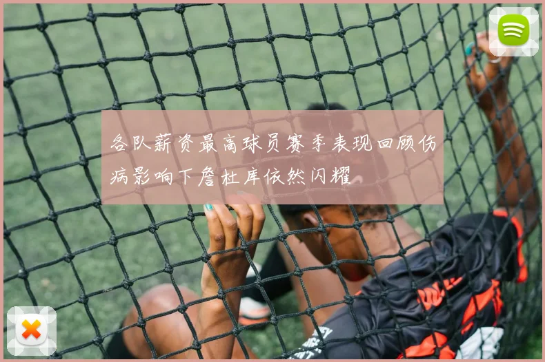 各队薪资最高球员赛季表现回顾伤病影响下詹杜库依然闪耀